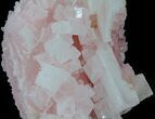 Pink Halite Crystal Plate - Trona, California #61050-1